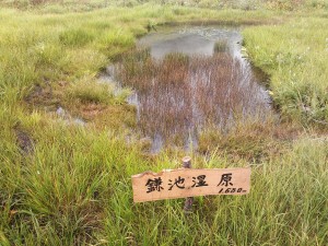 鎌池湿原