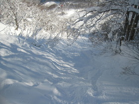コルチナは新雪４０センチのパウダーでした♪