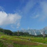 白馬五竜高山植物園